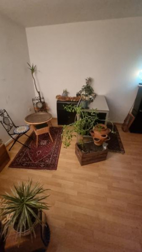Gemütliche und mit Charme eingerichtete Wohnung